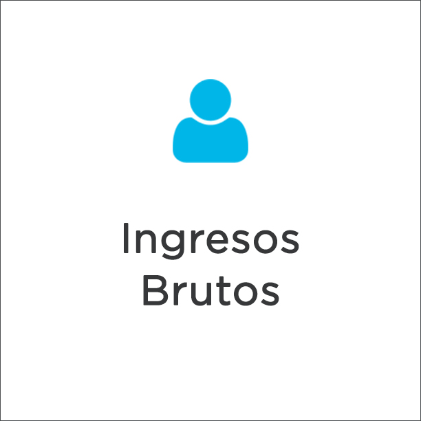 Ingresos Brutos